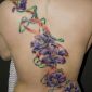 Tattoo Blume Lilie:Flower Lily 12.jpg
