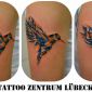 Tattoo Vogel auqarell:Bird aquarelle.jpg